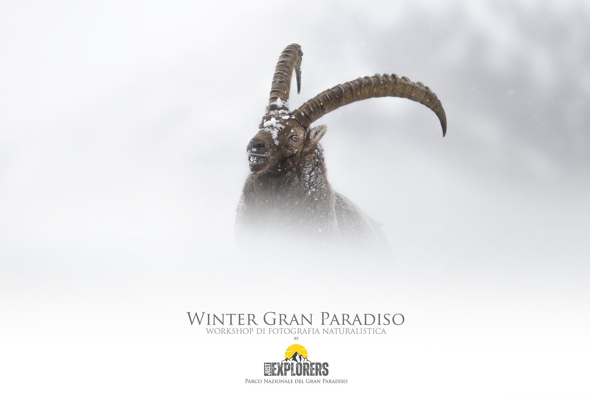 winter-gran-paradiso-workshop-di-fotografia-naturalistica