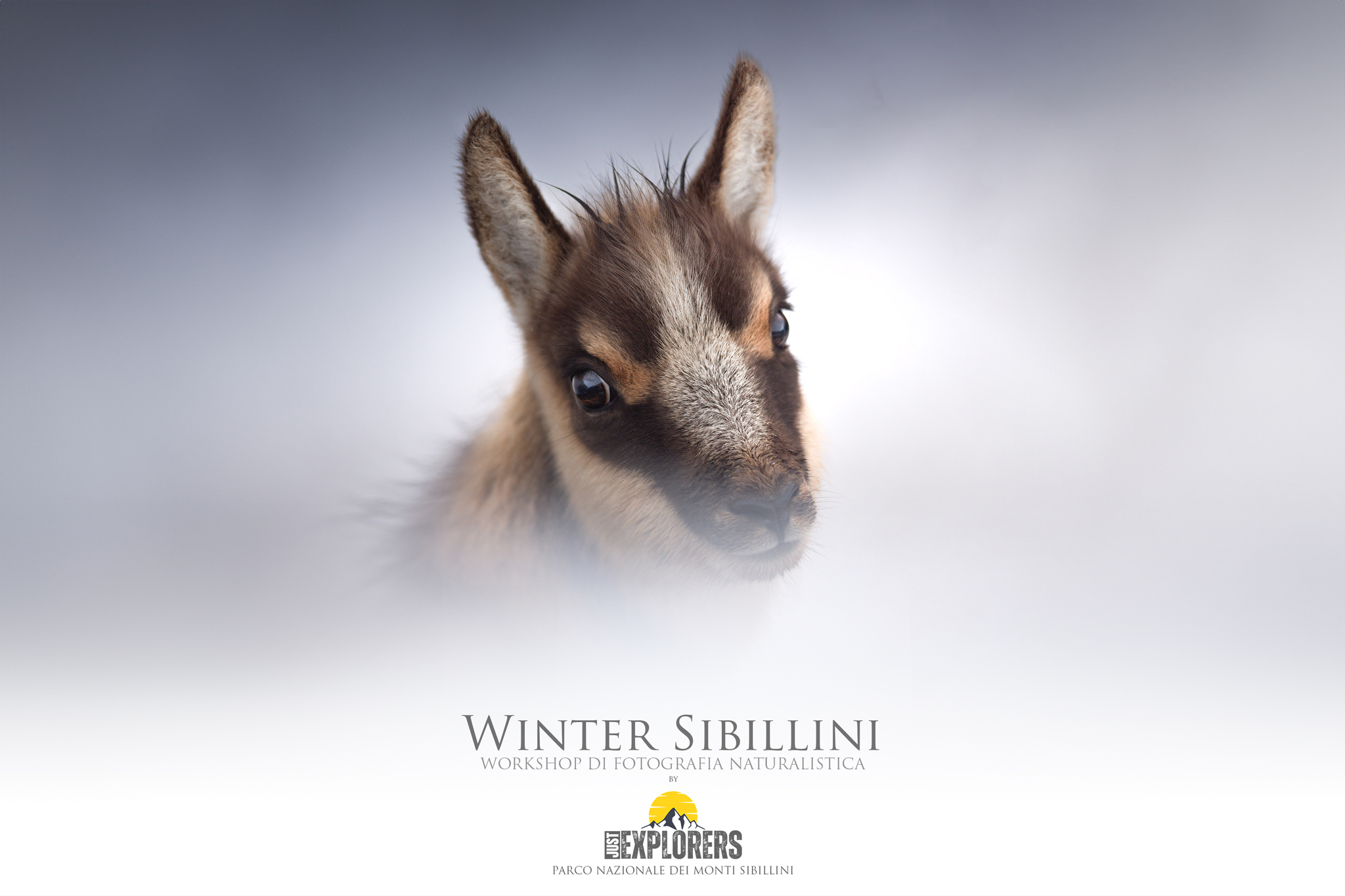 winter-sibillini-workshop-di-fotografia-naturalistica-nel-parco-nazionale-dei-monti-sibillini