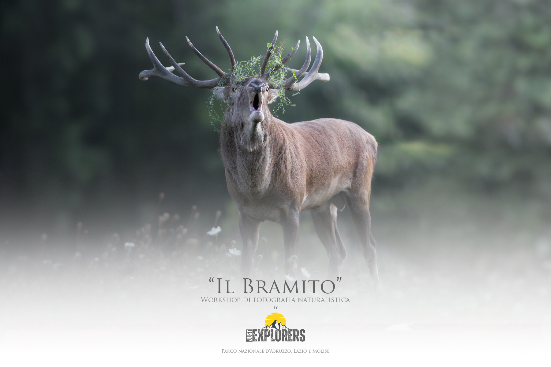 il-bramito-workshop-di-fotografia-naturalistica-parco-nazionale-abruzzo-lazio-molise