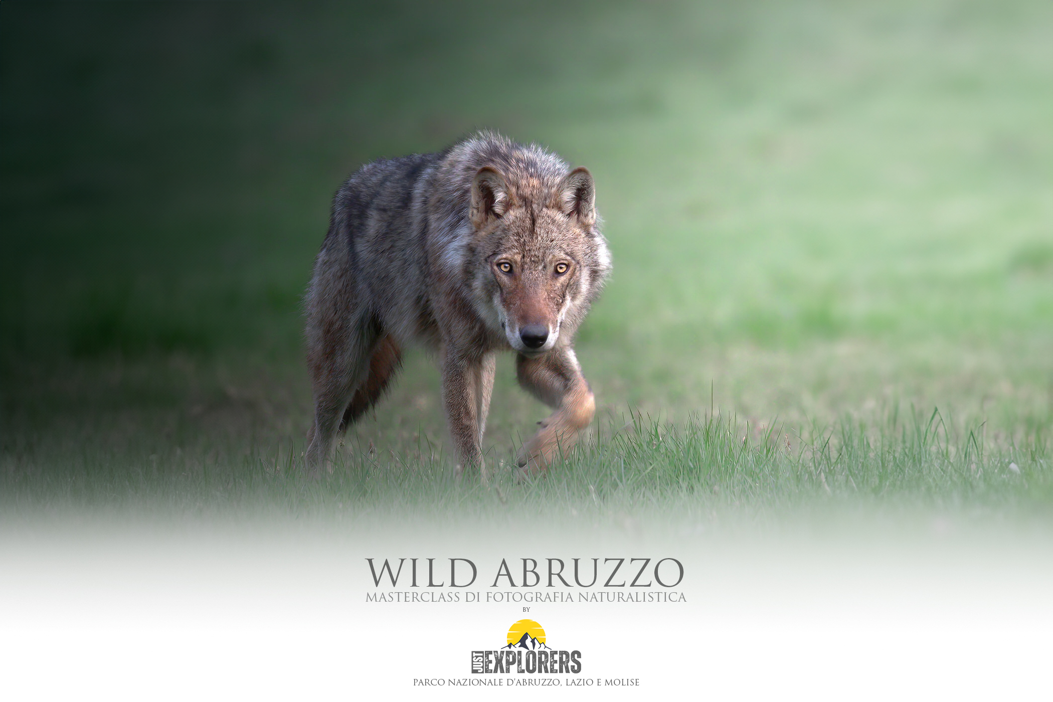 masterclass-fotografia-naturalistica-parco-nazionale-abruzzo-lazio-molise