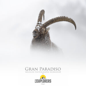 gran-paradiso-national-park-photographic-workshop