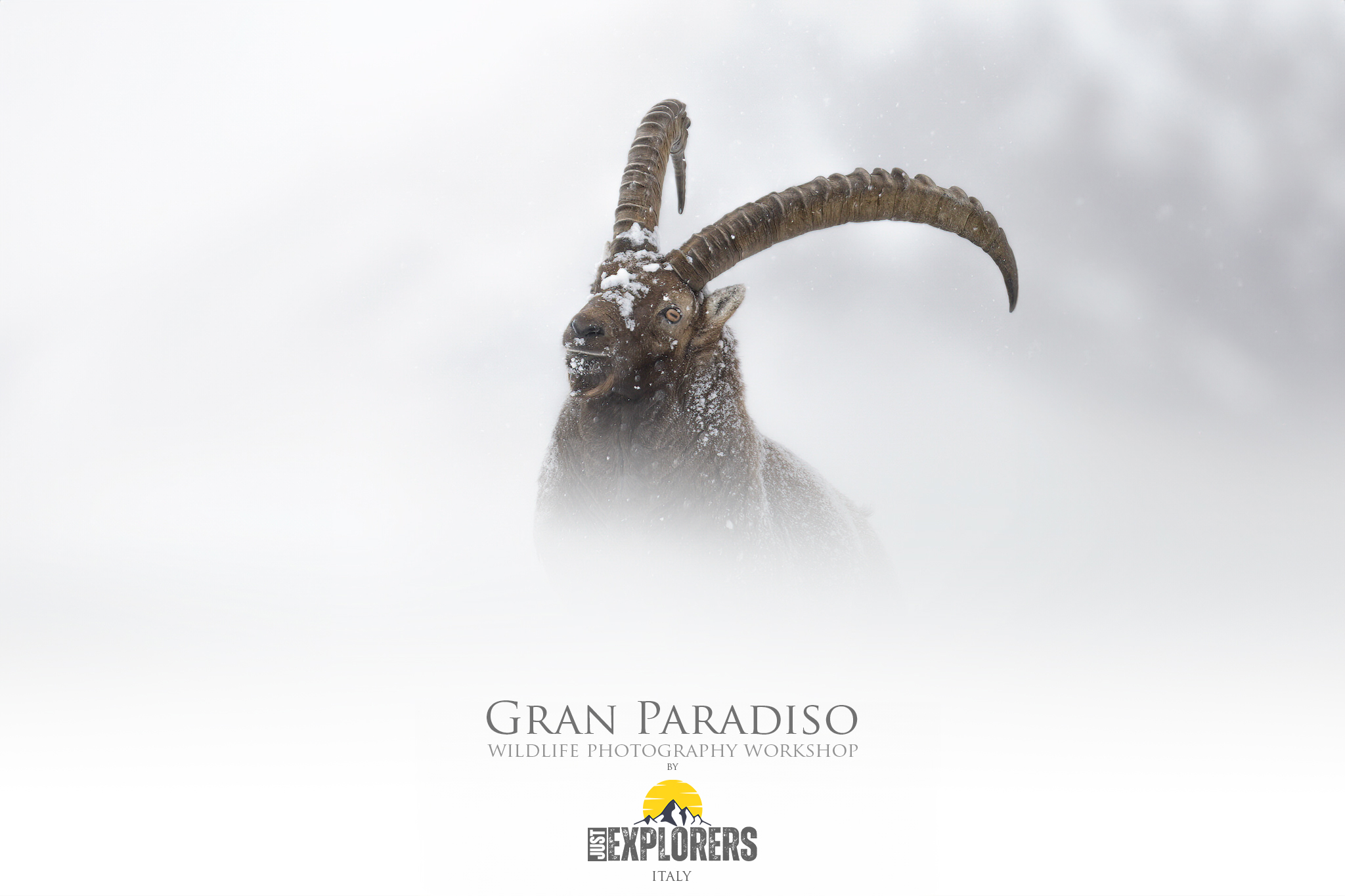 gran-paradiso-national-park-photographic-workshop